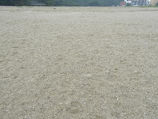 0620s.jpg 800x600 272KB 