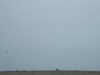 1042s.jpg 800x600 35KB 