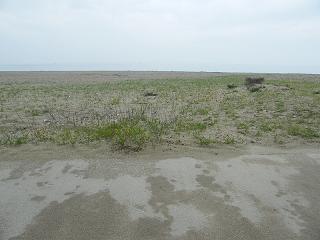 1046s.jpg 800x600 164KB 