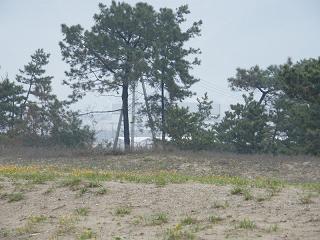 1212s.jpg 800x600 181KB 