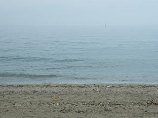 1213s.jpg 800x600 125KB 