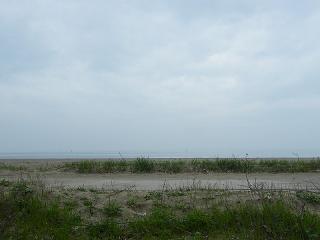 1245s.jpg 800x600 99KB 