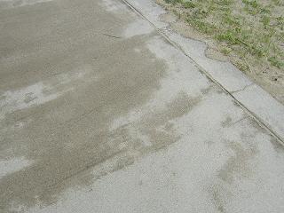 1246s.jpg 800x600 230KB 