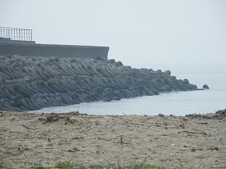 0609s.jpg 800x600 126KB 