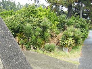 0916s.jpg 800x600 314KB 