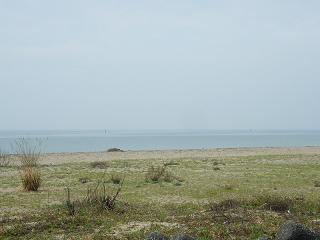 0919s.jpg 800x600 120KB 