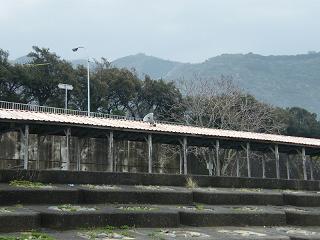 0713s.jpg 800x600 161KB 