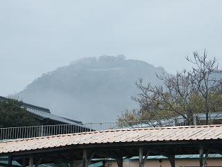 0735s.jpg 800x600 121KB 