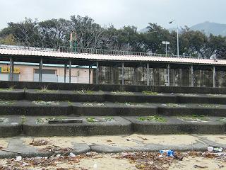 0743s.jpg 800x600 225KB 