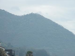 0744s.jpg 800x600 65KB 