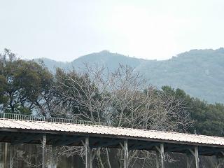 0745s.jpg 800x600 165KB 