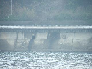 0746s.jpg 800x600 146KB 