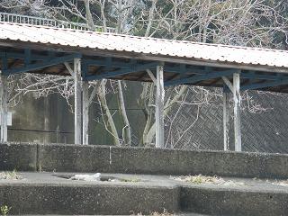 0747s.jpg 800x600 237KB 