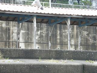 0753s.jpg 800x600 203KB 