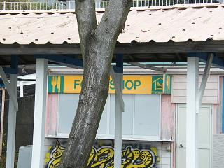 0762s.jpg 800x600 178KB 