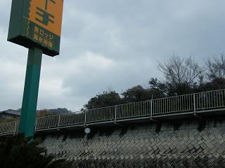 0771s.jpg 800x600 129KB 