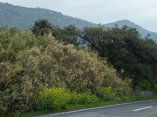 0773s.jpg 800x600 220KB 