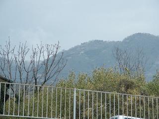 0775s.jpg 800x600 169KB 