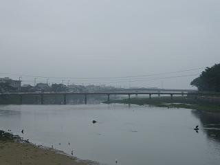 0102s.jpg 800x600 64KB 