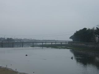 0103s.jpg 800x600 65KB 