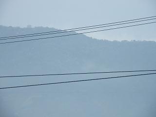 0104s.jpg 800x600 59KB 