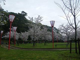 1019s.jpg 800x600 209KB 