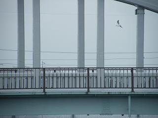 0127s.jpg 800x600 83KB 