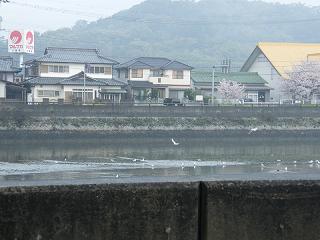 04074s.jpg 800x600 151KB 