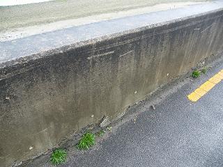 04075s.jpg 800x600 247KB 