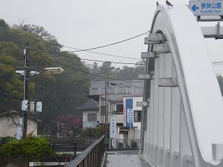 04111s.jpg 800x600 142KB 