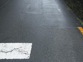 1248s.jpg 800x600 249KB 