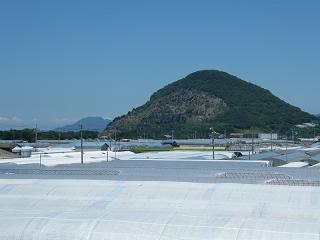 0201s.jpg 800x600 104KB 