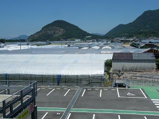 0218s.jpg 800x600 146KB 