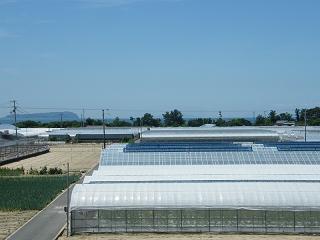 0606s.jpg 800x600 119KB 