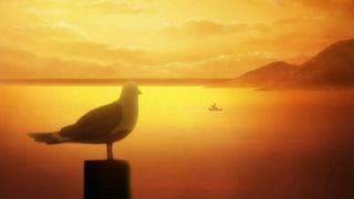 04102.jpg 512x288 20KB 