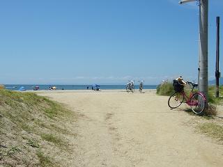 0613s.jpg 800x600 137KB 