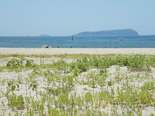 0615s.jpg 800x600 218KB 