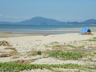 0633s.jpg 800x600 183KB 