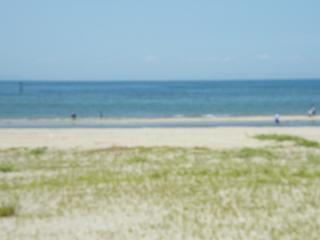 1214s.jpg 800x600 59KB 