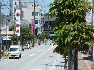 0105s.jpg 800x600 253KB 