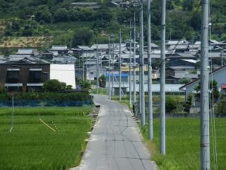 0108s.jpg 800x600 223KB 