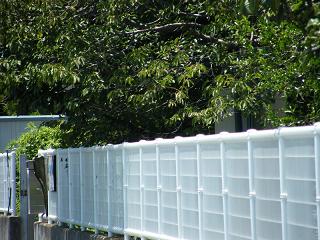 1236s.jpg 800x600 202KB 