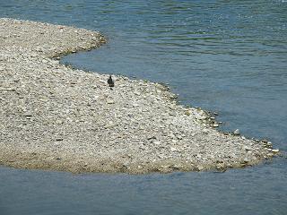 1039s.jpg 800x600 233KB 