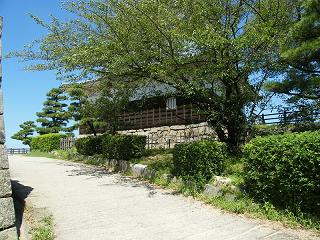 1007s.jpg 800x600 301KB 