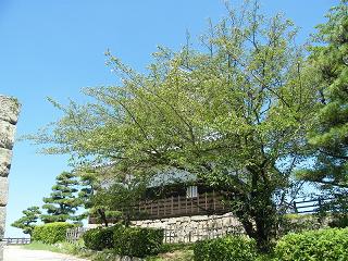 1008s.jpg 800x600 295KB 