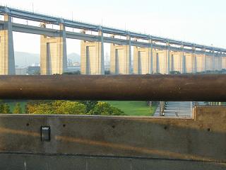 0975s.jpg 800x600 133KB 